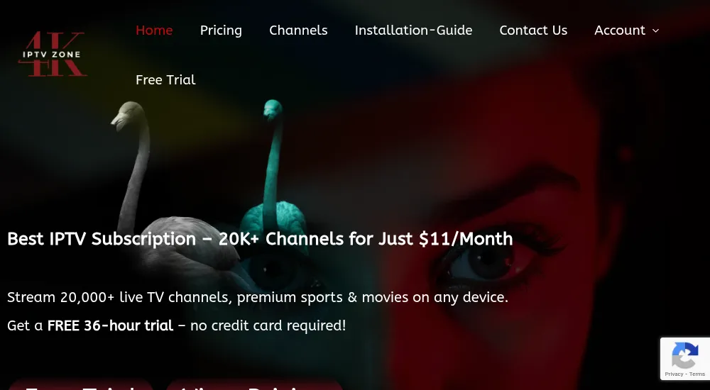 Best USA IPTV Service Providers